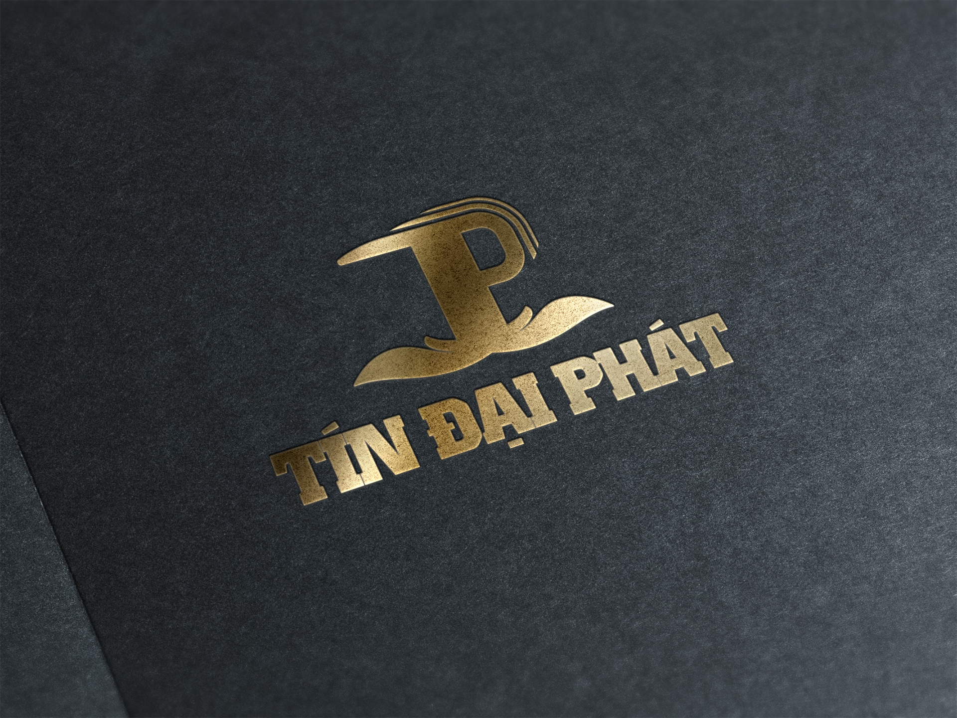 TÍN ĐẠI PHÁT - Thiết kế và quy chuẩn logo Công Ty Cổ phần Xây dựng và Thương mại TÍN ĐẠI PHÁT